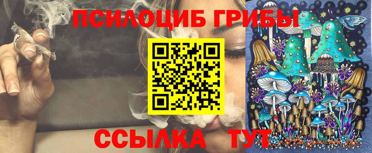 Псилоцибиновые грибы прущие грибы Ярославль
